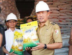 Wakil Bupati Tubaba Lepas Bantuan Pangan Cadangan Pemerintah untuk Warga