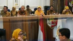 Optimalkan Pengelolaan Aset Daerah, Bupati Hamartoni Ikuti Rapat Dengar Pendapat DPR RI